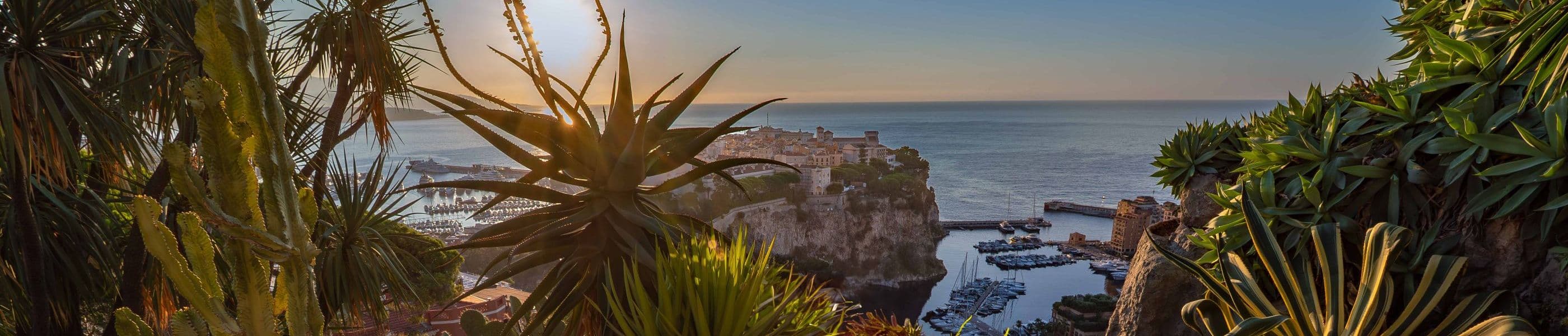 Parc pour enfants — Jardin Exotique à Monaco